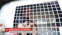 Суд изберет меру пресечения мужчине, который стрелял по компании отдыхающих
