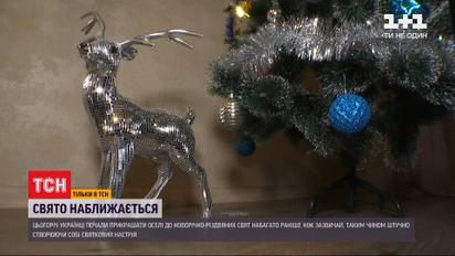 Боремся со стрессом и страхами: в этом году украинцы раньше обычного украшают свои дома