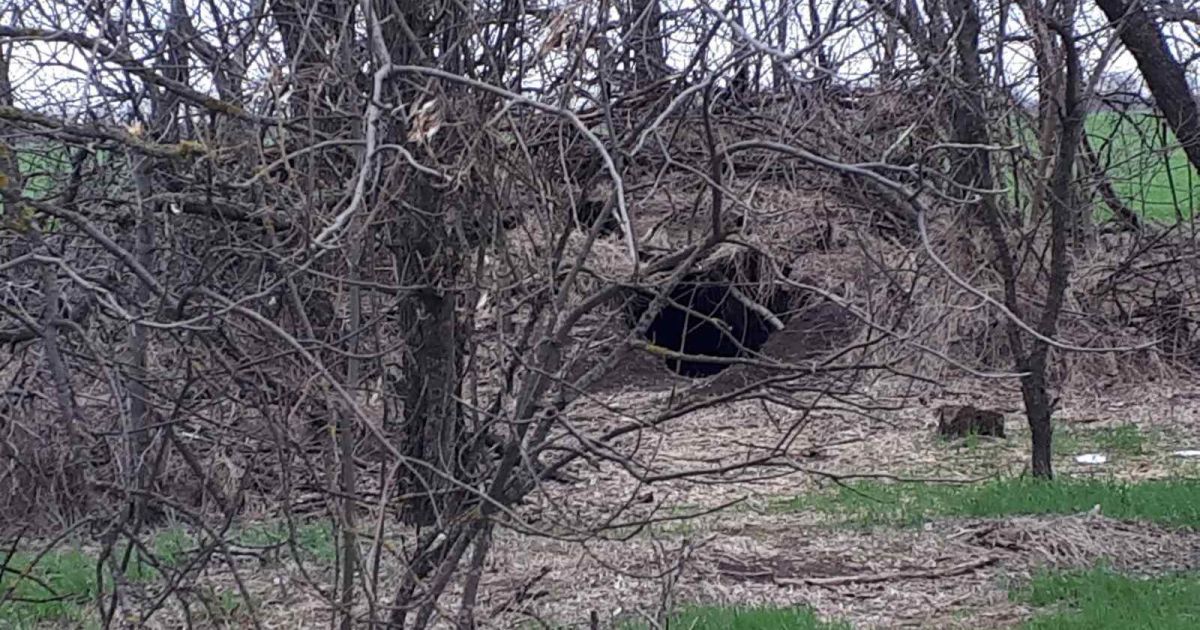 Фото: Ігор Негулевський