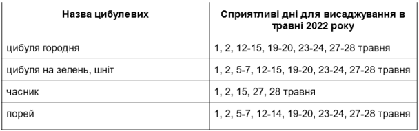 Посівний календар на травень 2022 року: цибулеві