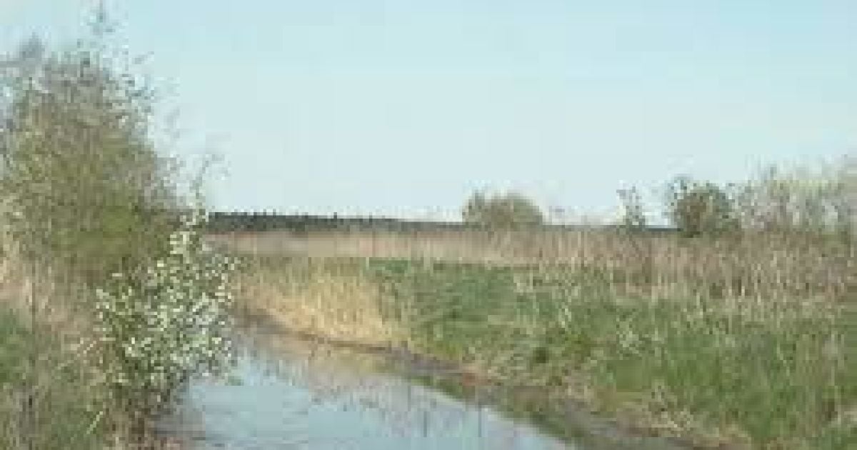 У Миколаївській області у зрошувальному каналі потонув чоловік