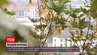 Погода в Украине: в ближайшее время ожидаются дожди и похолодание