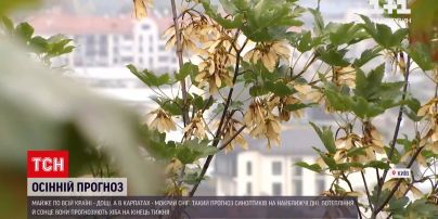 Погода в Украине: в ближайшее время ожидаются дожди и похолодание