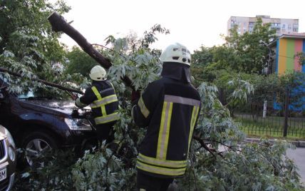П’ятнична негода в Києві: дерева падали на дороги, машини і трамвайні колії