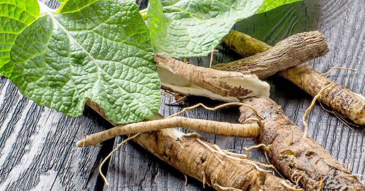 Яка користь листя лопуху