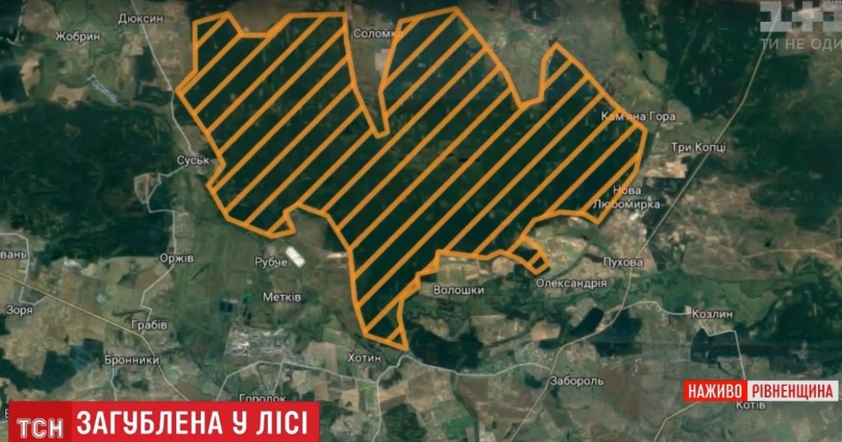Четыре дня поисков: на Ровенщине женщина потерялась в лесу, куда пошла за черникой