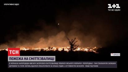 У Черкасах пожежа перетворила сміттєзвалище на попелище