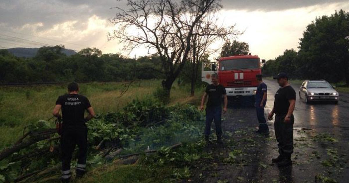 Последствия непогоды на западе Украины: обесточены области, разбиты крыши и уничтожены гектары посевов