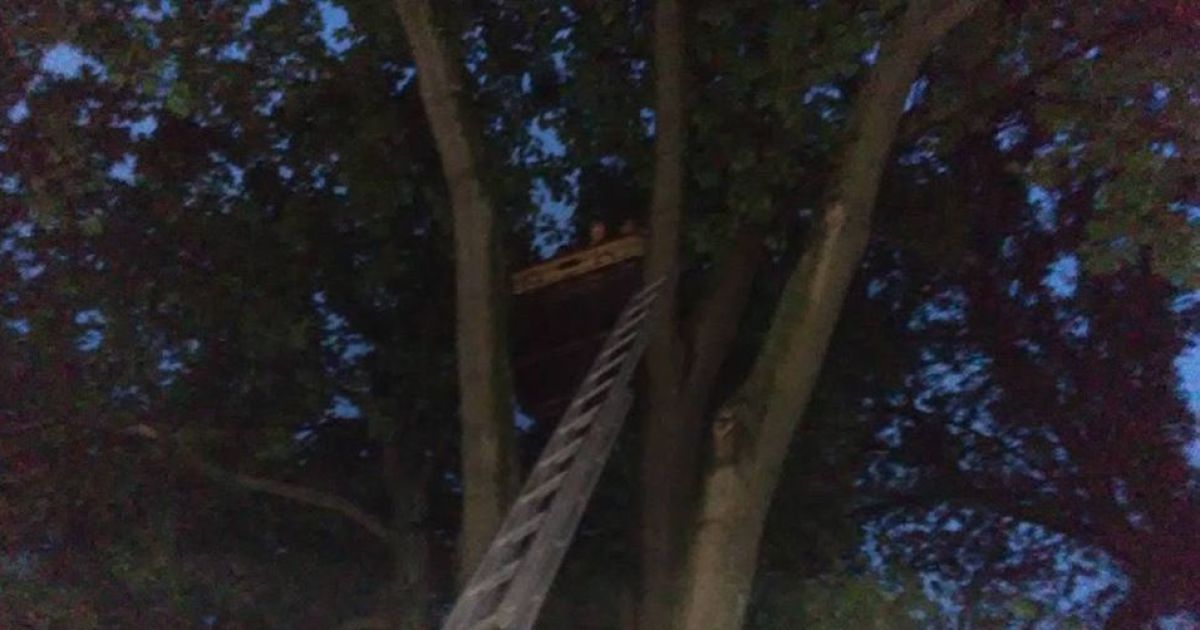 В ГСЧС рассказали подробности крушения воздушного шара на Кировоградщине