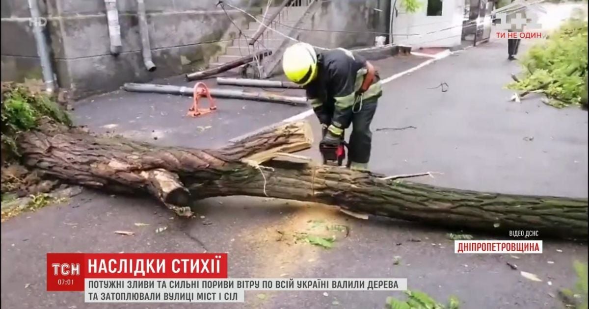 В Днепропетровской области дерево упало на прохожую