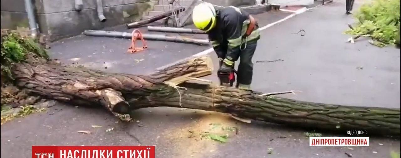 У Дніпропетровській області дерево впало на перехожу