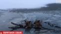 У Хмельницькому дві вівчарки провалились в ополонку під кригу