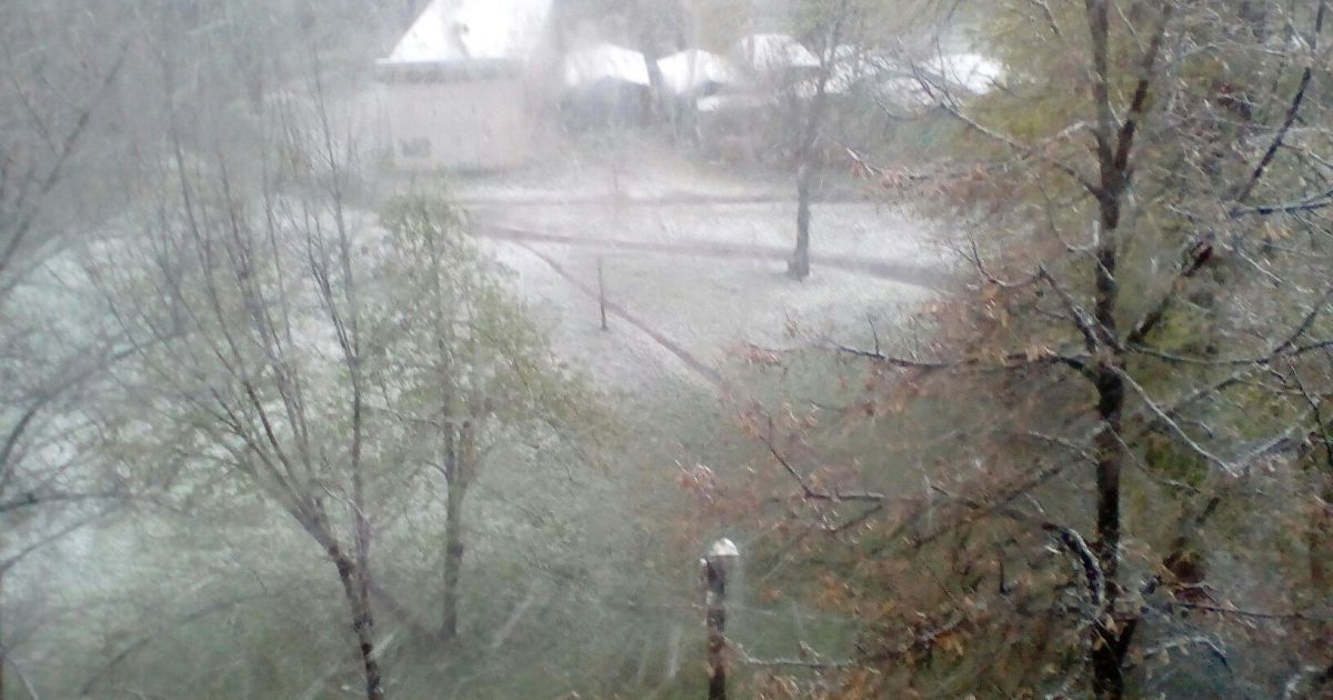 Сніг у Лозовій_3 / © vk/lozova_ua