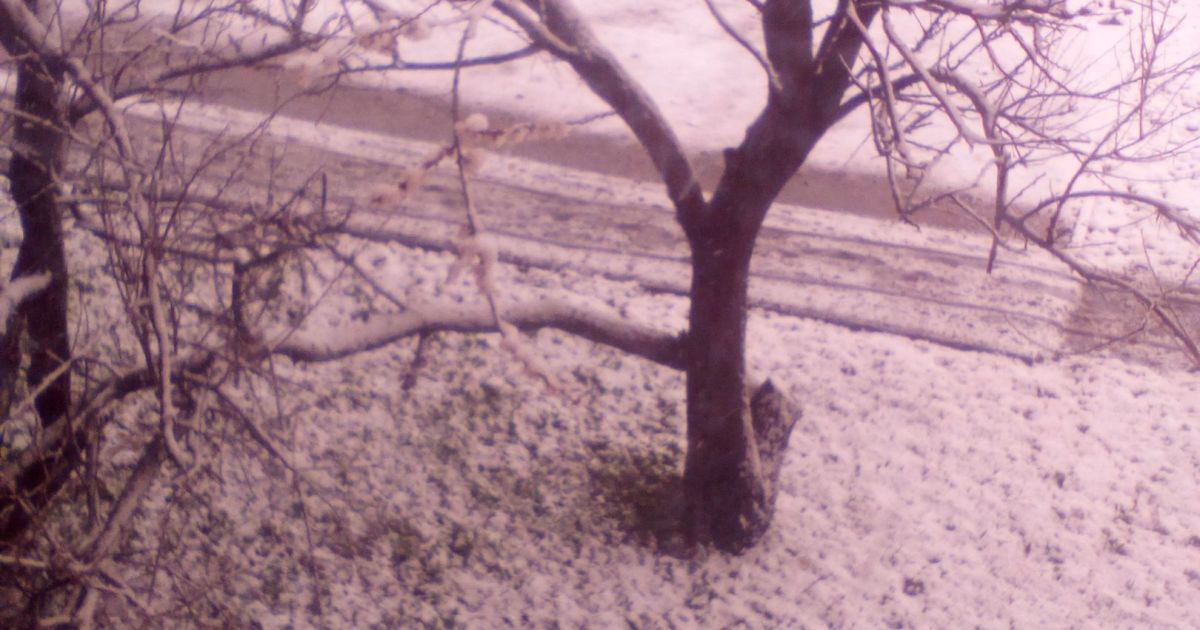 Сніг у Лозовій_1 / © vk/lozova_ua