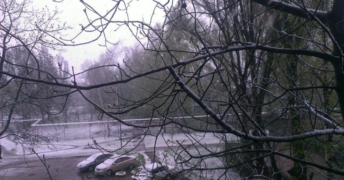 Сніг у Лозовій_7 / © vk/lozova_ua