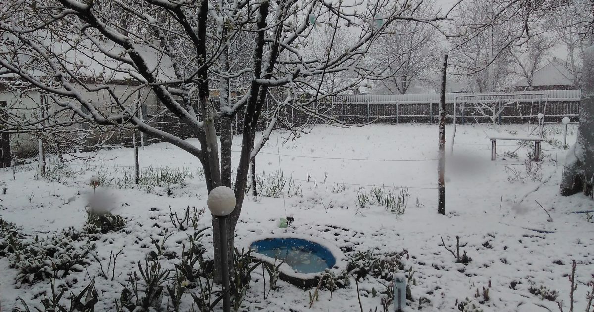 Сніг у Лозовій_2 / © vk/lozova_ua