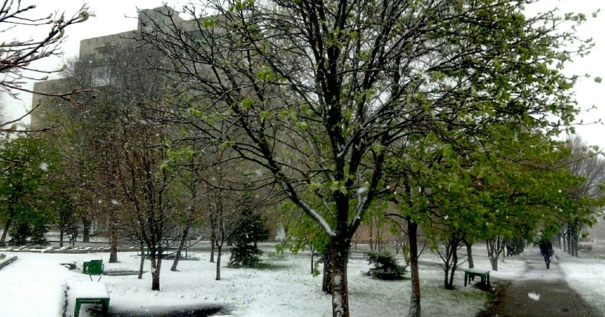 Сніг у Лозовій_9 / © vk/lozova_ua