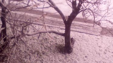 Сніг у Лозовій_1 / © vk/lozova_ua