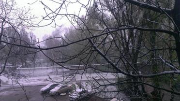 Сніг у Лозовій_7 / © vk/lozova_ua