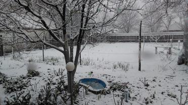 Сніг у Лозовій_2 / © vk/lozova_ua