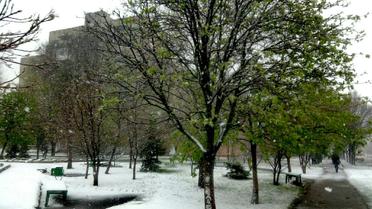 Сніг у Лозовій_9 / © vk/lozova_ua