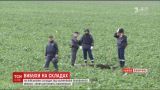 Взрывы на складах боеприпасов повредили 80% домов в Павловке