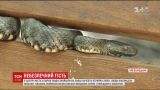 Большая змея в одном из парков Хмельницкого напугала местных жителей