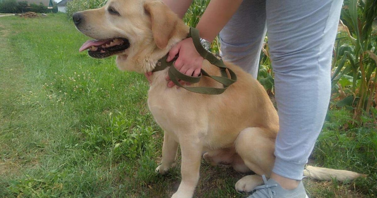 Фото: Наталія Рец