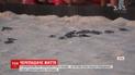 На острові Аруба місцеві проводжають у Карибське море новонароджених черепашок