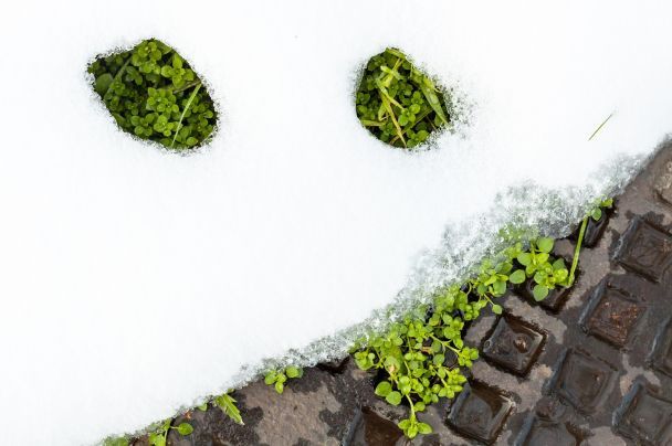 Народні прикмети 23 лютого / © pixabay.com