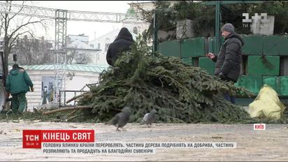 В Киеве убрали и утилизировали главную елку страны