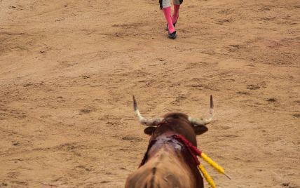 В Австралії на родео бик проштрикнув шию тореодора