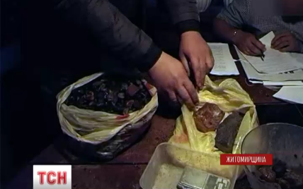 На Житомирщине правоохранители задержали банду нелегальных копателей янтаря