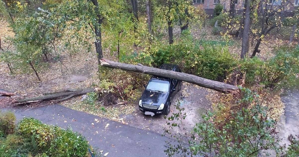 Деревопад у Києві