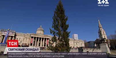 Новини світу: лондонці обурюються виглядом ялинки, яку Норвегія подарувала цього року