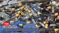 Звалище медичного сміття поблизу Львова не прибирають уже 5 місяців