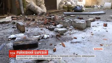 Зірвані дахи та повалені дерева: Львівщину накрив шквальний вітер