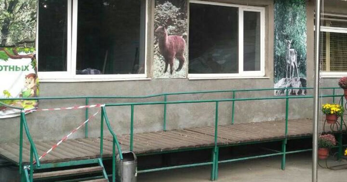 В харьковском зоопарке обезьяны отгрызли мужчине ухо и пальцы