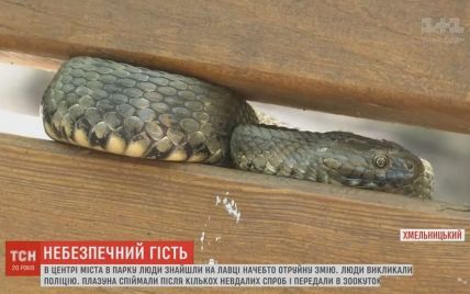 Почти метровая змея напугала прохожих в парке Хмельницкого