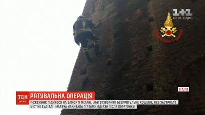 Пожарный поднялся на замок в Милане, чтобы освободить беспризорного котёнка