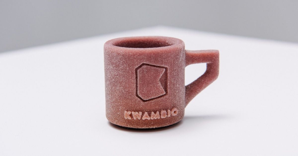 3D-принтер Kwambio_7