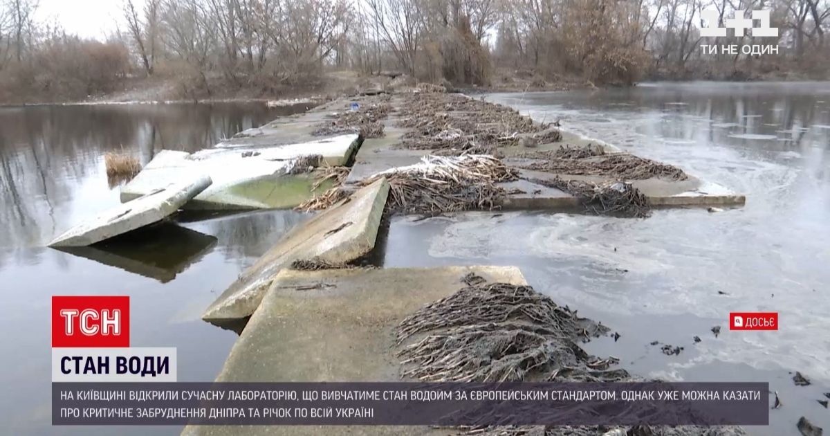 Річка Дніпро через кілька років може стати болотом: що знайшли експерти