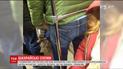 Пользователей ужаснул новый способ похищения денег с карточек на расстоянии