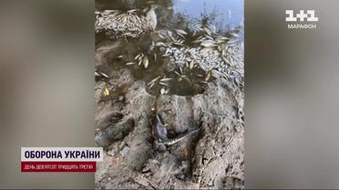 Отрута вже близько! Чи треба запасатися питною водою?