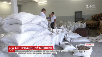 Рекордну партію контрабандного бурштину затримали на митниці в Запоріжжі
