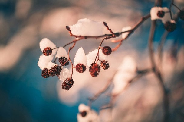 Народні прикмети 2 грудня / © unsplash.com