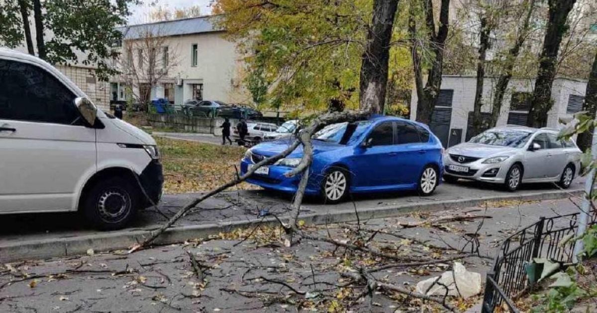 Деревопад у Києві