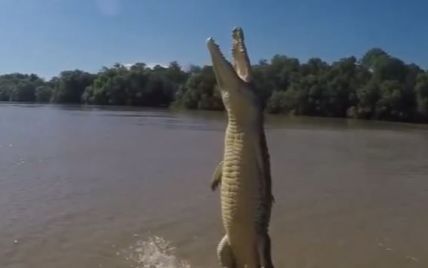 Пользователей Сети шокировало видео с крокодилом, "взлетающим" из воды за добычей