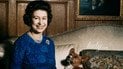 Королева Елизавета II с собаками породы корги