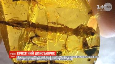 В Мьянме ученые обнаружили останки самого маленького в мире динозавра